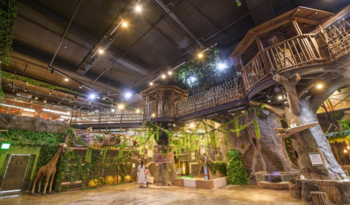 和談植物園+Starfield購物中心+Zoolung Zoolung 1日遊（首爾出發）（3月29日~9月30日）